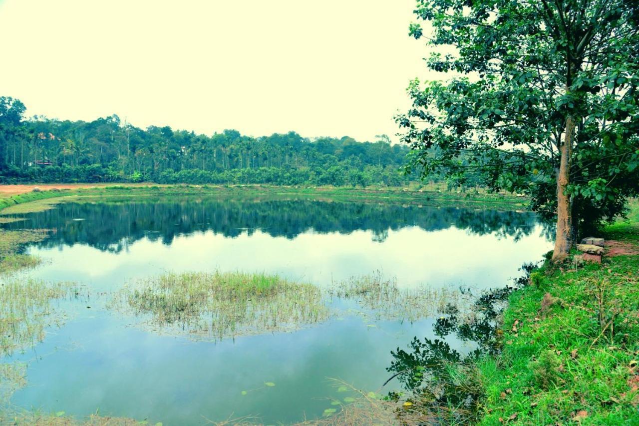 Agastya Lake View Coorg Madikeri Exterior photo